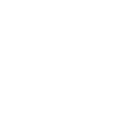 PinPoyntFX logo